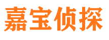 桐柏市调查公司